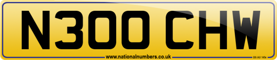 N300 CHW