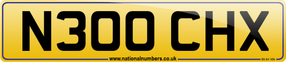 N300 CHX