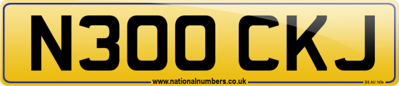 N300 CKJ
