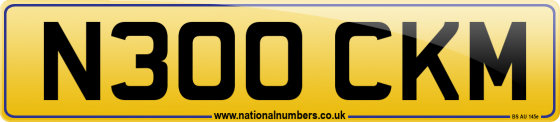 N300 CKM