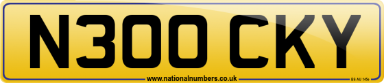 N300 CKY