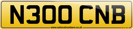 N300 CNB