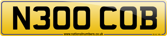 N300 COB