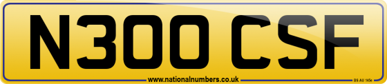N300 CSF