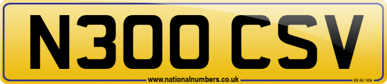 N300 CSV