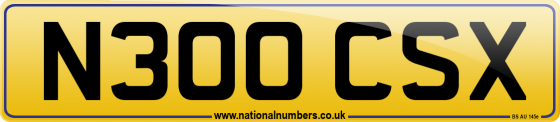 N300 CSX