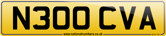 N300 CVA