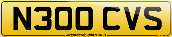 N300 CVS