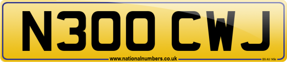 N300 CWJ