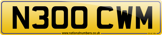 N300 CWM