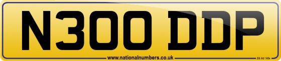 N300 DDP