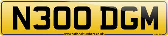 N300 DGM
