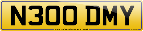 N300 DMY