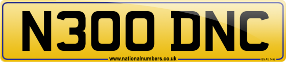N300 DNC