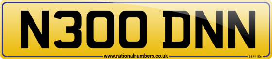 N300 DNN