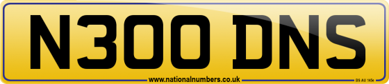 N300 DNS