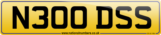 N300 DSS