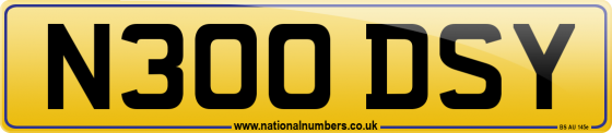 N300 DSY