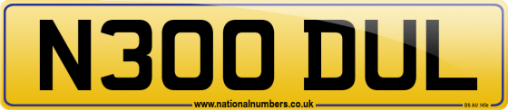 N300 DUL