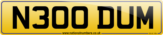 N300 DUM