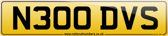 N300 DVS