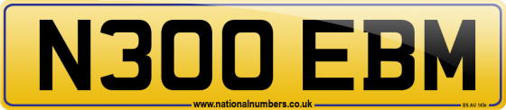 N300 EBM