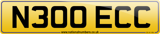 N300 ECC