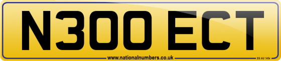 N300 ECT