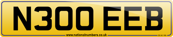 N300 EEB