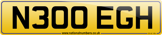 N300 EGH