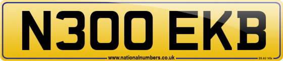 N300 EKB