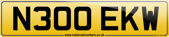 N300 EKW