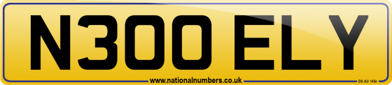 N300 ELY