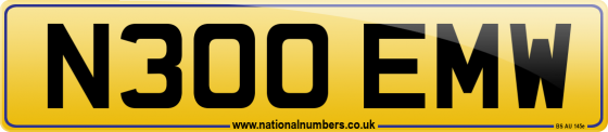 N300 EMW