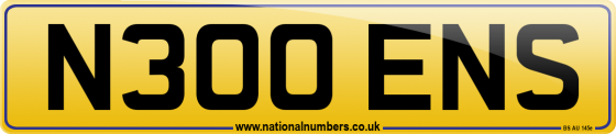 N300 ENS