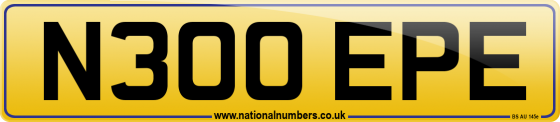 N300 EPE