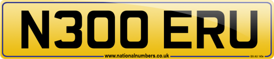 N300 ERU
