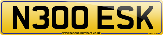 N300 ESK