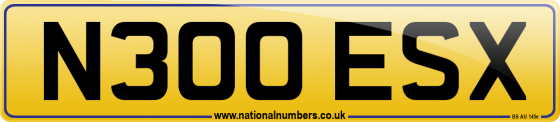 N300 ESX