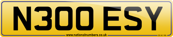 N300 ESY