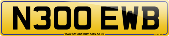 N300 EWB