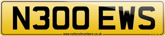 N300 EWS