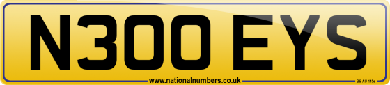 N300 EYS