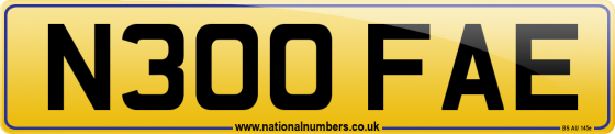 N300 FAE