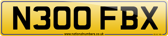 N300 FBX