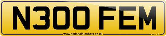 N300 FEM