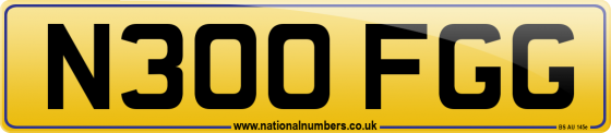 N300 FGG