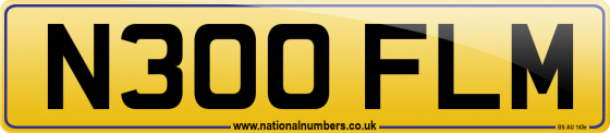 N300 FLM