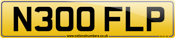 N300 FLP