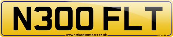N300 FLT